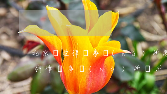 北京廣盈律師事務(wù)所怎么樣(北京盈科律師事務(wù)所廣州分公司)