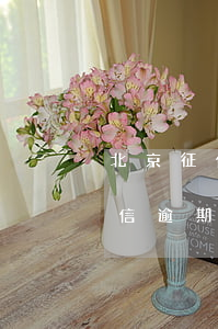 北京征信負(fù)債逾期處理方法(銀行征信逾期怎么辦)