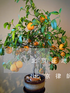 北京征地律師哪個(gè)最好(征拆為什么北京律師)