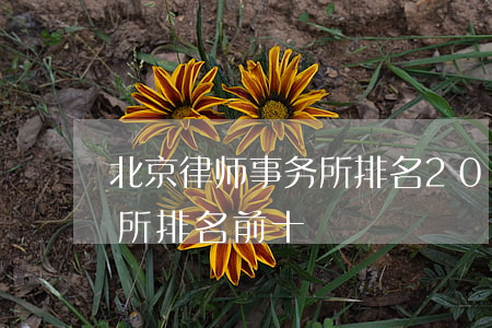 北京律师事务所排名2019(北京律师事务所排名前十)