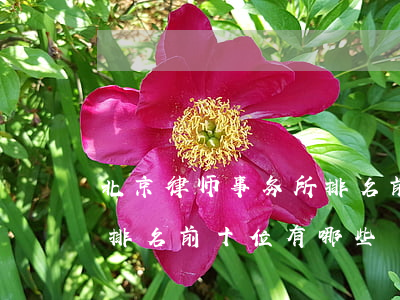 北京律师事务所排名前五十(北京律师事务所排名前十位有哪些)