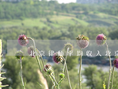 北京律师平均收入(北京女律师真实收入)