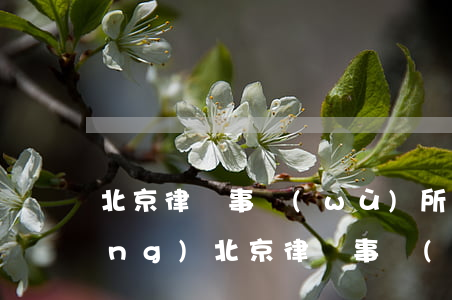 北京律師事務(wù)所100強(qiáng)(北京律師事務(wù)所排名100)