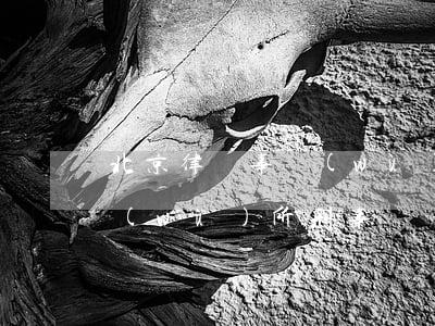 北京律師事務(wù)所刑事(北京律師事務(wù)所刑事訴訟復(fù)制內(nèi)容)