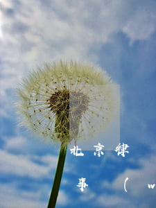 北京律師事務(wù)所地址大全(北京律師事務(wù)所電話咨詢)