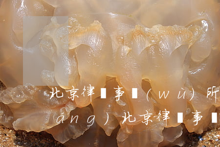 北京律師事務(wù)所排名10強(qiáng)(北京律師事務(wù)所排名50強(qiáng))