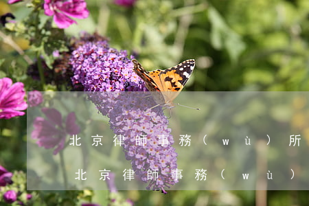 北京律師事務(wù)所排名前十名及薪酬(北京律師事務(wù)所排名前十位有哪些)