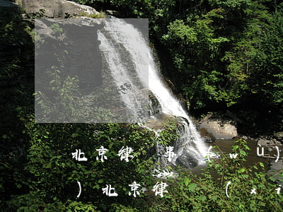 北京律師事務(wù)所查詢平臺(tái)(北京律師協(xié)會(huì) 律師查詢)