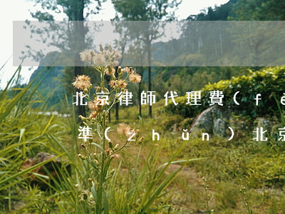 北京律師代理費(fèi)標(biāo)準(zhǔn)(北京律師風(fēng)險(xiǎn)代理收費(fèi)標(biāo)準(zhǔn))