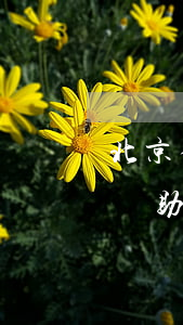 北京律師助理一個(gè)月多少錢(北京律師助理一般月薪)
