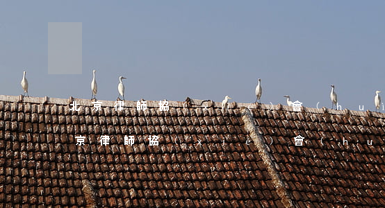 北京律師協(xié)會(huì)地址(北京律師協(xié)會(huì)地址和交通路線)