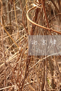 北京律師所排行(北京律師所排行)