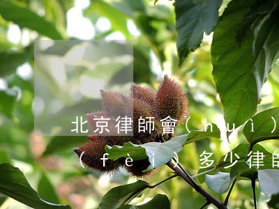 北京律師會(huì)見(jiàn)收費(fèi)多少(律師會(huì)見(jiàn)費(fèi)用標(biāo)準(zhǔn))