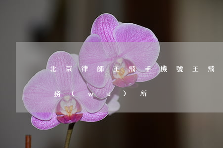 北京律師王飛手機號(王飛律師在哪家律師事務(wù)所)