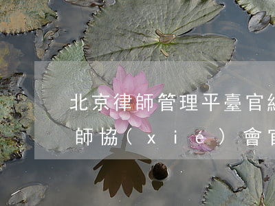 北京律師管理平臺官網(wǎng)(北京律師協(xié)會官網(wǎng))