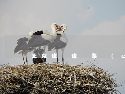 北京律眾律師事務(wù)所靠譜嗎