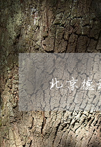 北京德和衡呼和浩特律師事務(wù)所