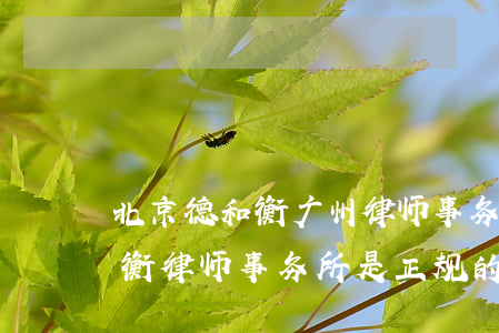 北京德和衡广州律师事务所怎么样(北京德和衡律师事务所是正规的单位吗)