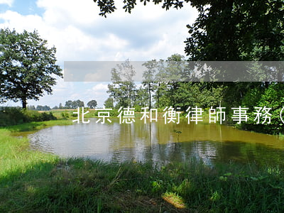 北京德和衡律師事務(wù)所怎么樣