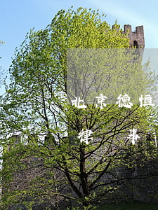 北京德恒律師事務(wù)所地址(北京德恒律師事務(wù)所電話)