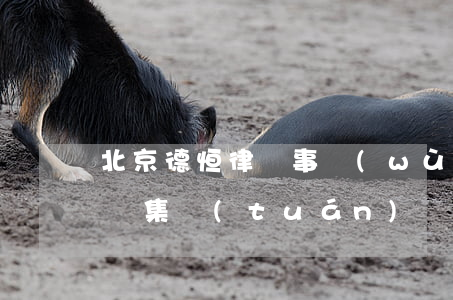 北京德恒律師事務(wù)所怎么樣(德衡律師集團(tuán))