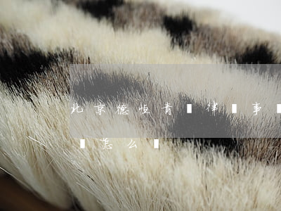 北京德恒青島律師事務所怎么樣(北京德恒 律師怎么樣)