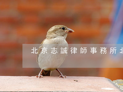北京志誠律師事務所(北京志誠律師事務所)