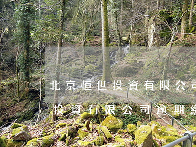 北京恒世投資有限公司逾期繳納-北京恒世投資有限公司逾期繳納違約金