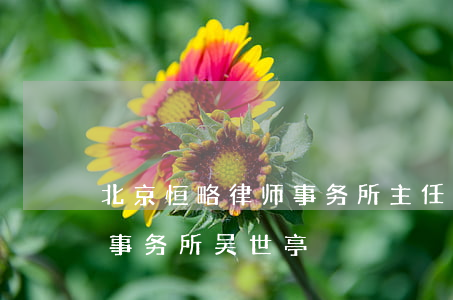 北京恒略律师事务所主任是谁(北京恒略律师事务所吴世亭)