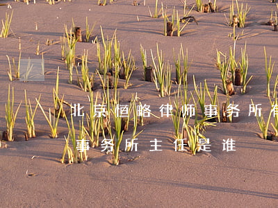北京恒略律师事务所有多少人(北京恒略律师事务所主任是谁)