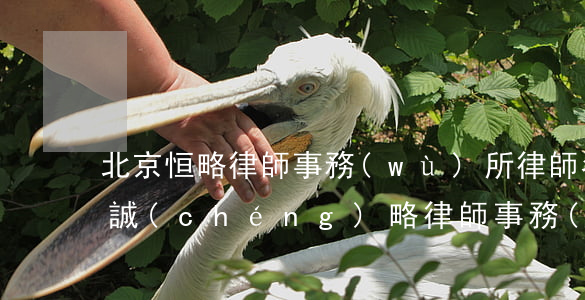 北京恒略律師事務(wù)所律師名單(北京誠(chéng)略律師事務(wù)所)