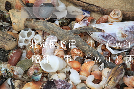 北京恒略律師事務(wù)所怎么樣(北京恒略律師事務(wù)所人員名單)