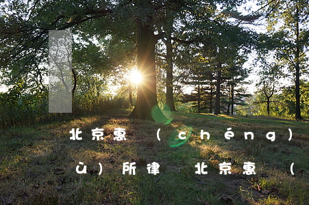 北京惠誠(chéng)(成都)律師事務(wù)所律師(北京惠誠(chéng)(成都)律師事務(wù)所律師李思靜)