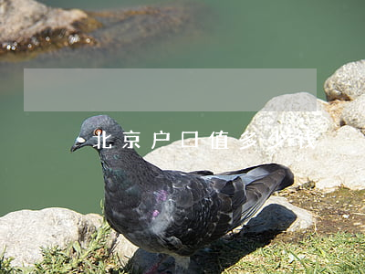 北京户口值多少钱