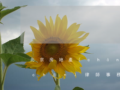 北京房地產(chǎn)律師(北京房地產(chǎn)律師事務(wù)所排名前十名)