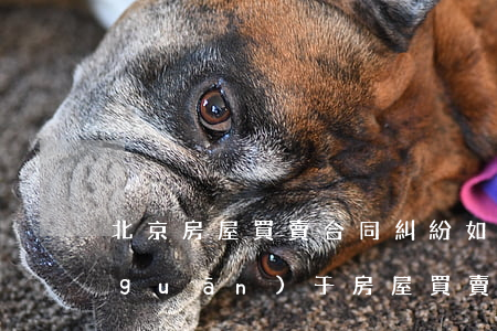 北京房屋買賣合同糾紛如何處理(北京市關(guān)于房屋買賣合同糾紛的民事判決書)
