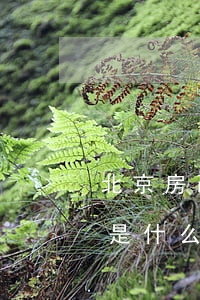 北京房改房買(mǎi)賣(mài)政策是什么（北京房改房詳細(xì)流程）