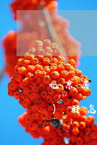 北京房產(chǎn)繼承律師費(fèi)用怎么算(北京房產(chǎn)繼承律師費(fèi)用怎么算)