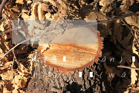 北京房產(chǎn)證查詢(北京房產(chǎn)證網(wǎng)上查詢)