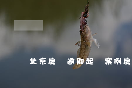北京房貸逾期起訴案例(房貸逾期被起訴開庭)