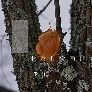 北京打官司打赢后收费(北京打官司律师费多少钱)