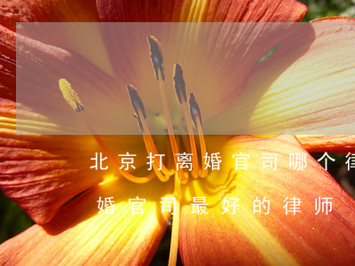 北京打离婚官司哪个律师事务所好(北京打离婚官司最好的律师)
