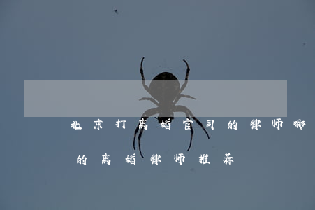 北京打离婚官司的律师哪个好(北京比较厉害的离婚律师推荐)