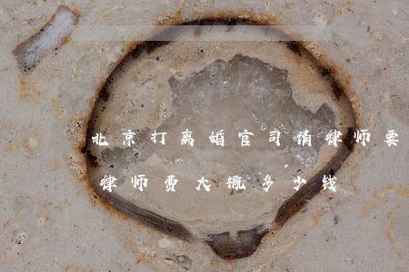 北京打离婚官司请律师要多少钱(离婚打官司律师费大概多少钱)