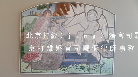 北京打經(jīng)濟官司最好的律師(北京打離婚官司哪個律師事務(wù)所好)