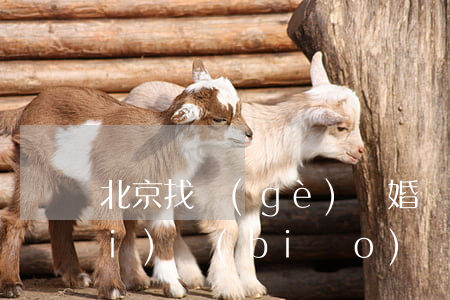 北京找個(gè)離婚繼承律師收費(fèi)標(biāo)準(zhǔn)(北京離婚案請(qǐng)律師多少錢(qián))