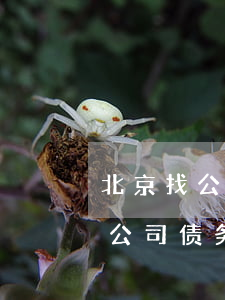 北京找公司债务律师免费法律咨询-北京找公司债务律师免费法律咨询电话