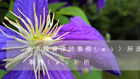 北京投資律師事務(wù)所(北京金融律師事務(wù)所)