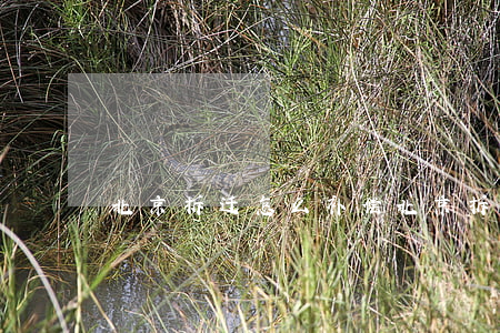 北京拆迁怎么补偿(北京拆迁补偿多少) 北京拆迁怎么补偿(北京拆迁补偿多少)