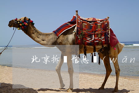 北京拆遷信息網(wǎng)(北京拆遷資訊)